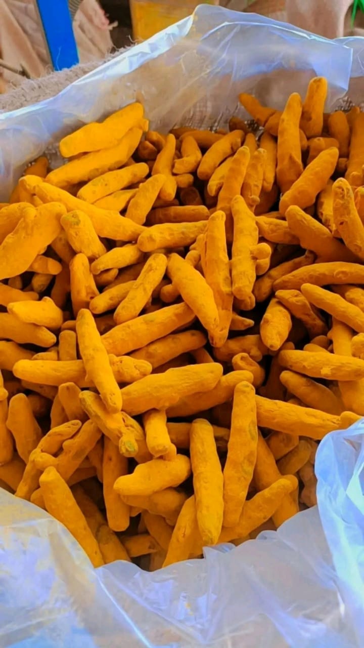 Turmeric 3