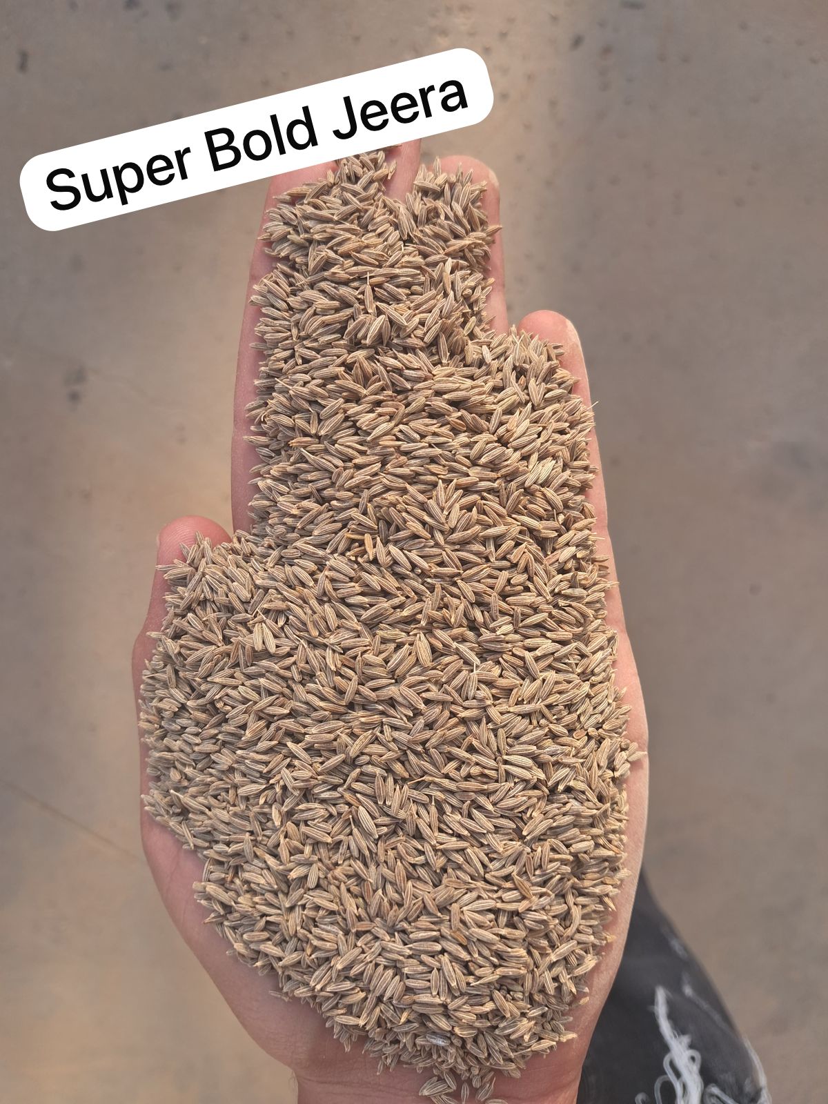 Cumin 4