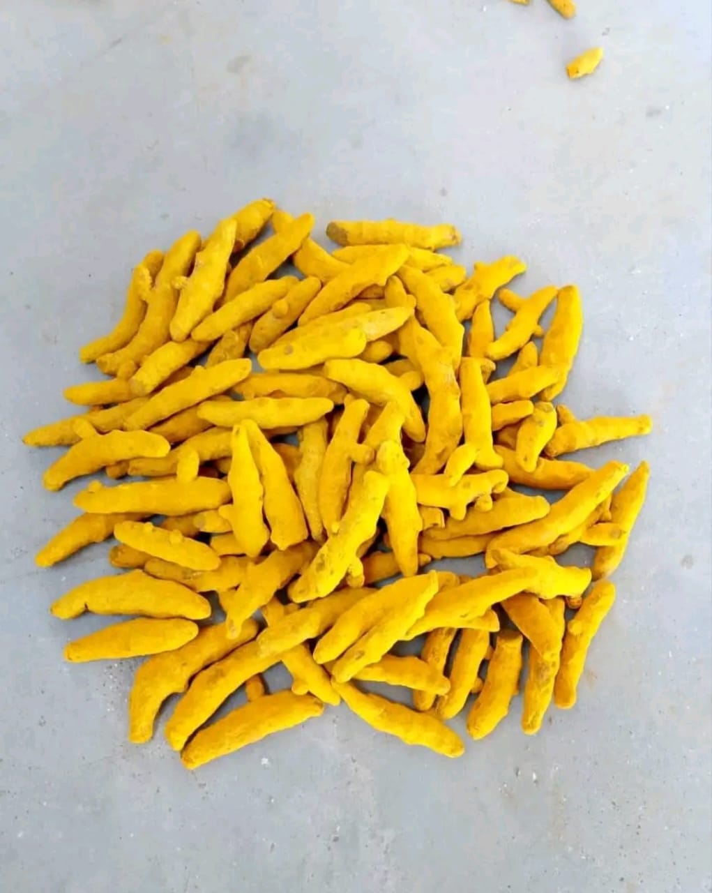 Turmeric 1