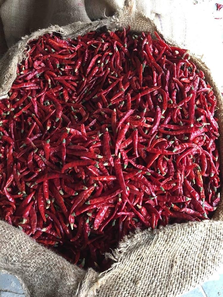 Red Chilli 1