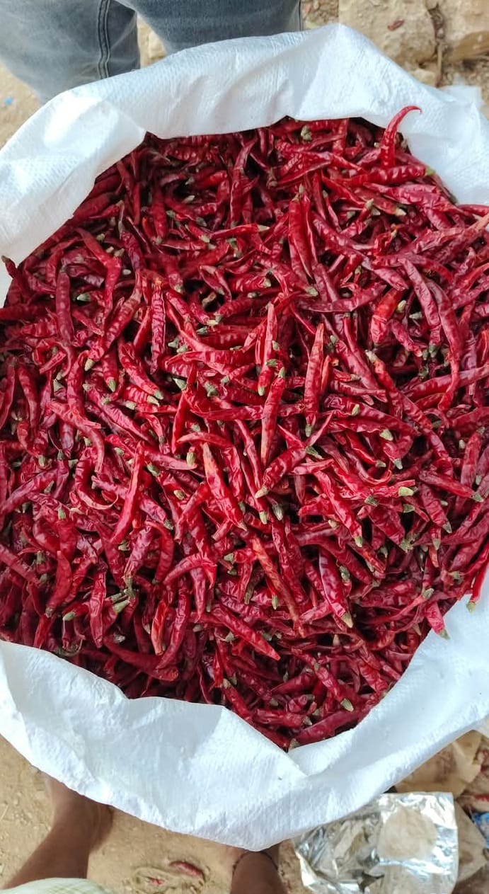 Red Chilli 2