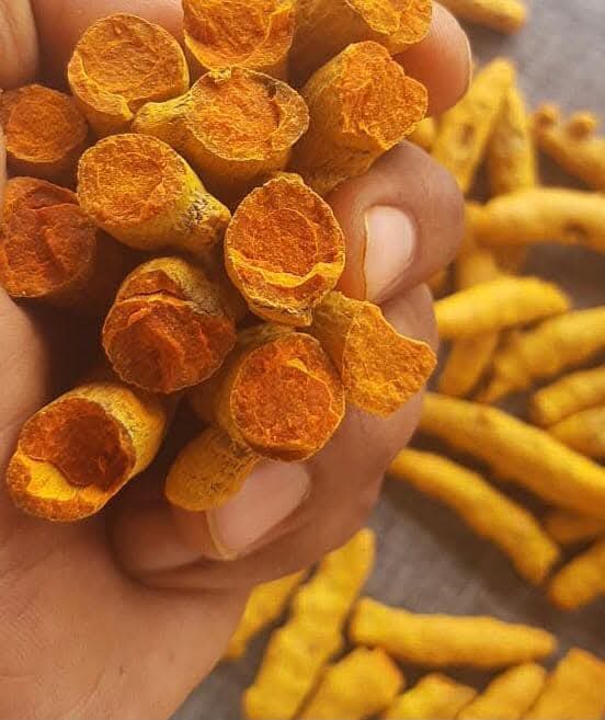 Turmeric 5