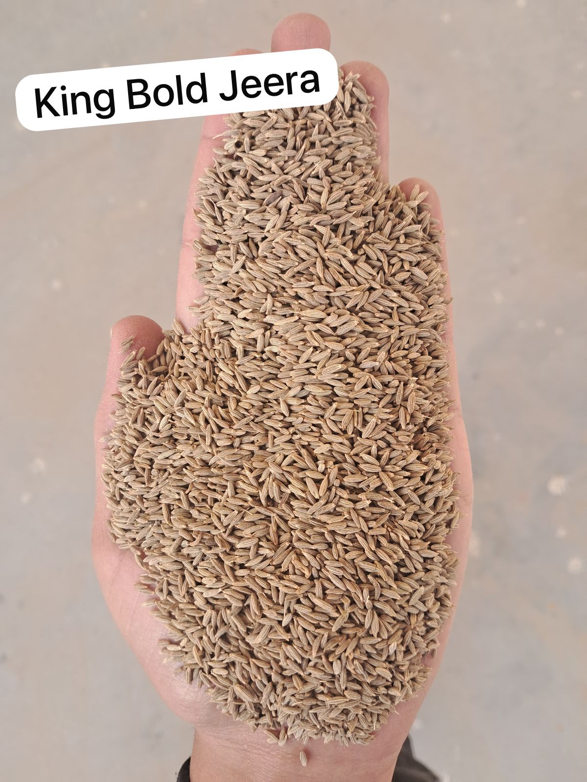 Cumin 3