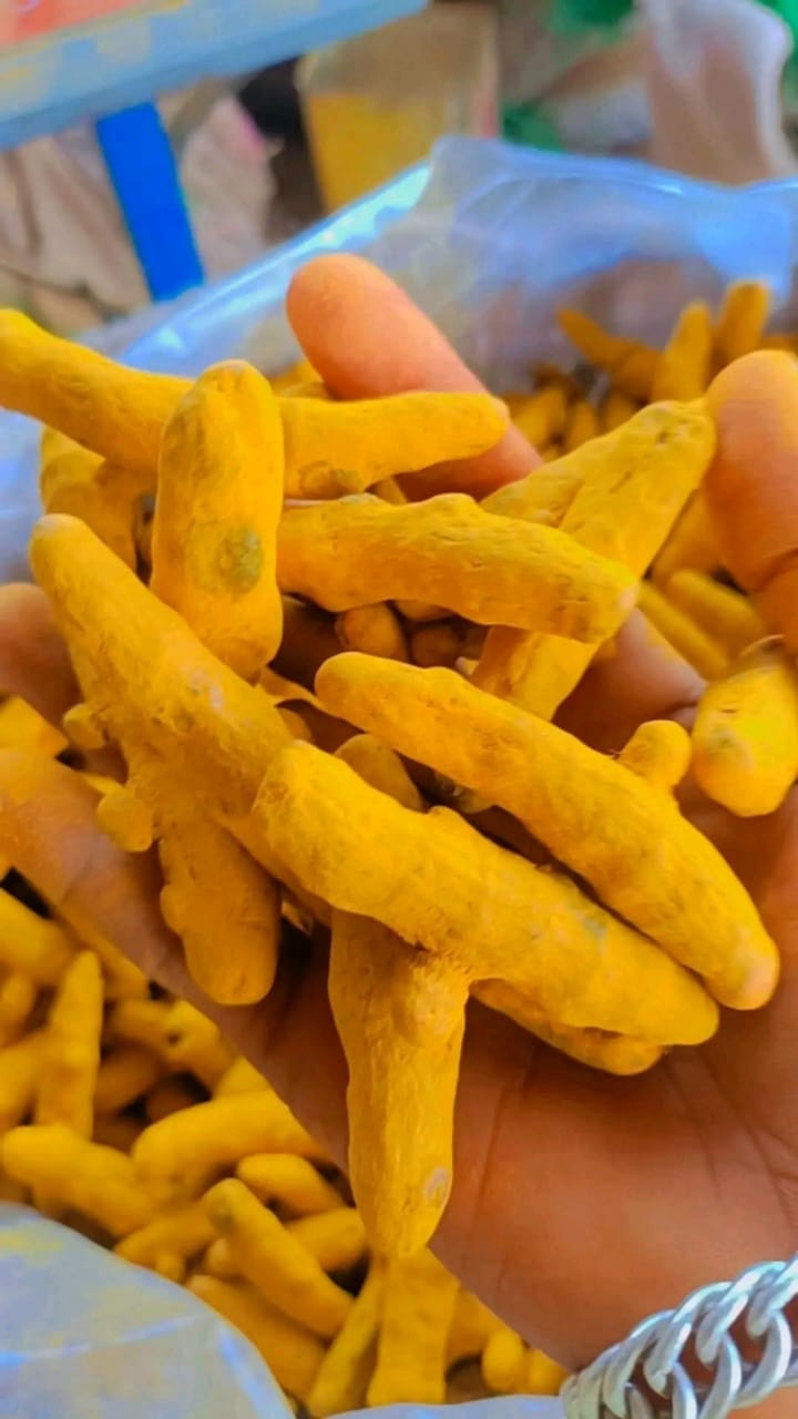 Turmeric 2